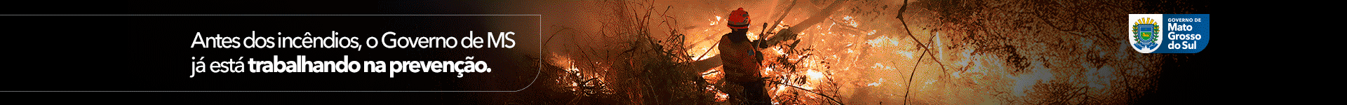 GOVERNO DO ESTADO MS - INCÊNDIO 